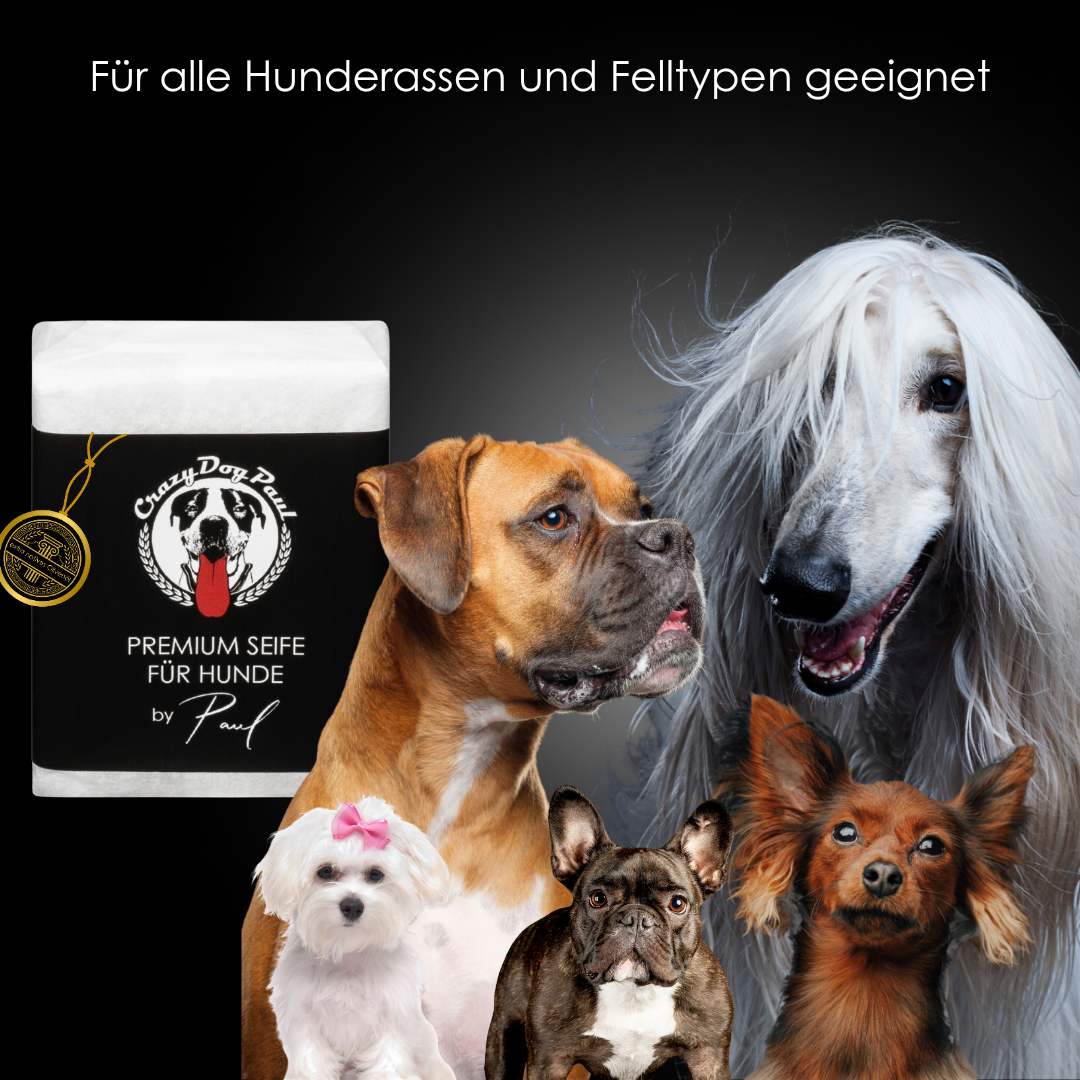 Premium Hundeseife crazydogpaul  Fellpflege für alle hunde und welpen