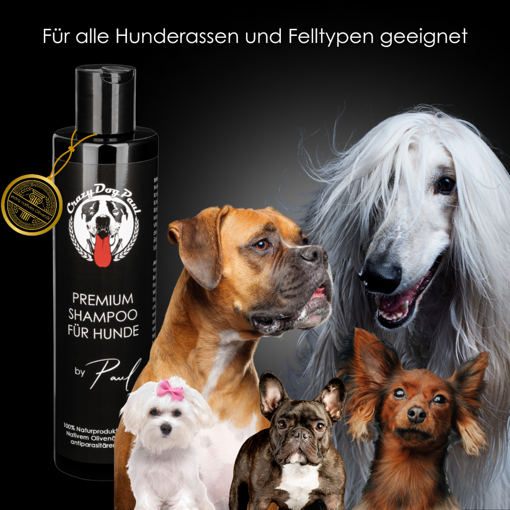CrazyDogPaul Premium All-Inclusive Set – Ganzheitliche Fell-, Ohren- & Pfotenpflege