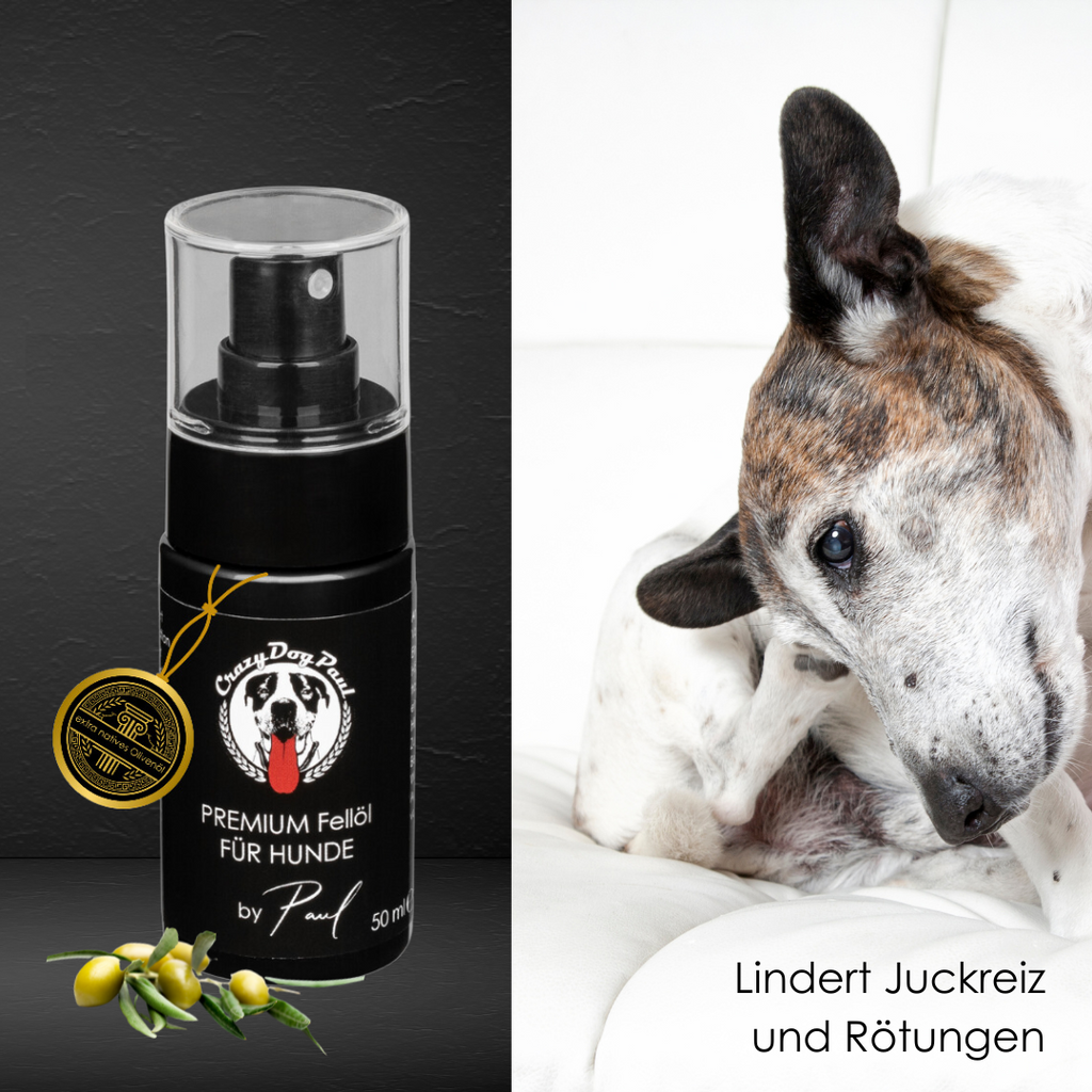 Natürliches Spray lindert Juckreiz nach Insektenstichen und beruhigt juckende Hundehaut sofort