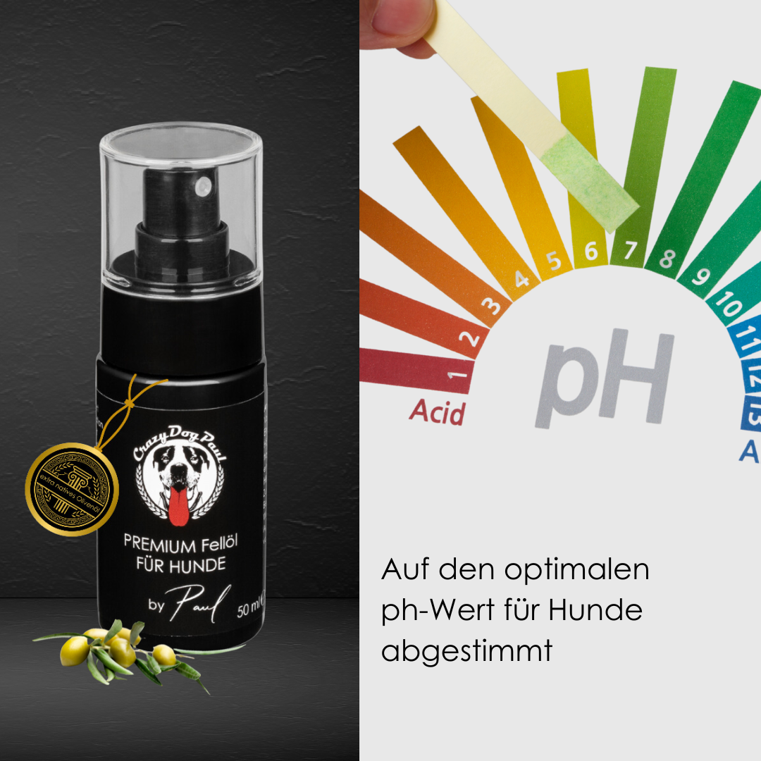 Ungiftiges Zeckenspray für Hunde und Welpen ohne Alkohol, Silikone oder künstliche Chemie