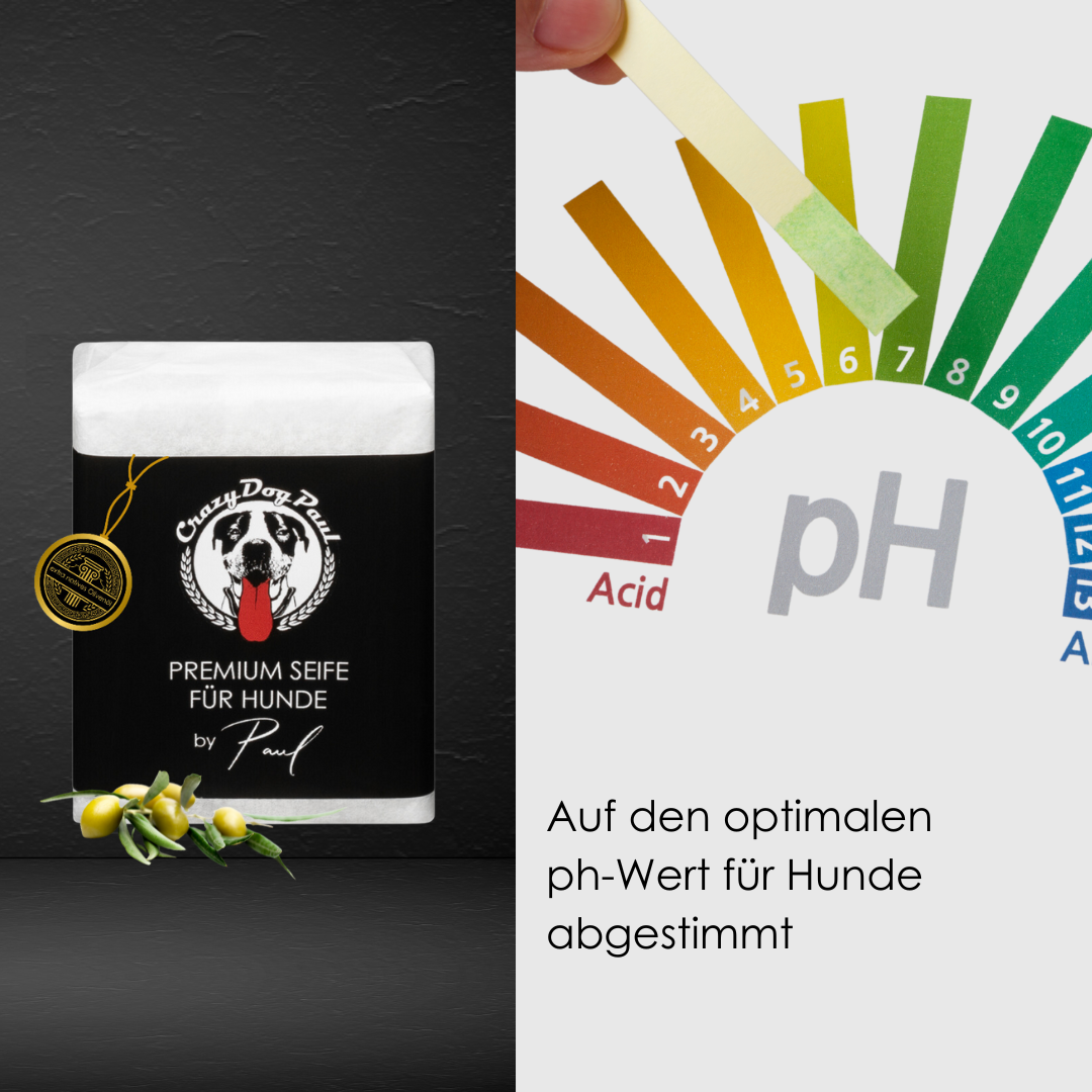 Premium Hundeseife crazydogpaul für empfindliche Haut