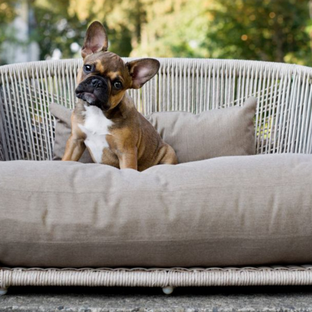 PRADO - Design-Hundebett SMOOTH