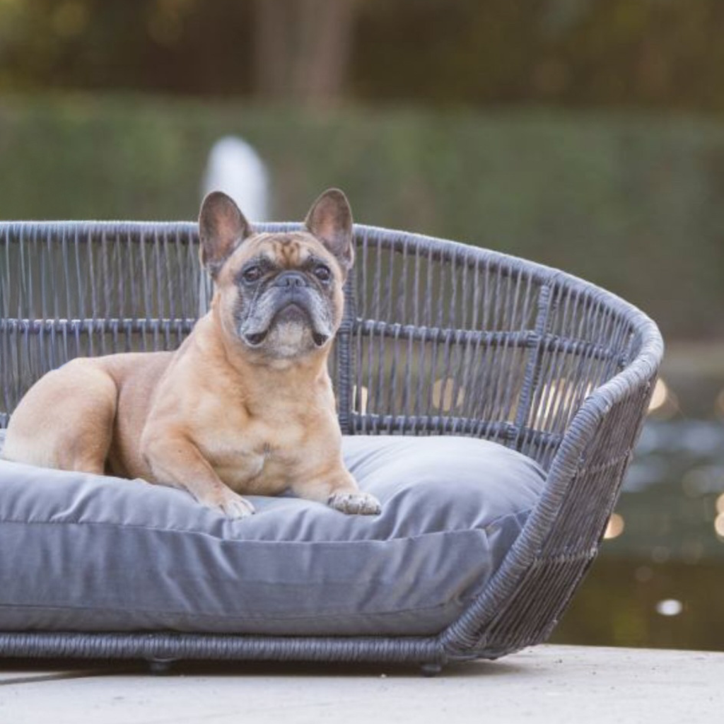 PRADO - Design-Hundebett SMOOTH