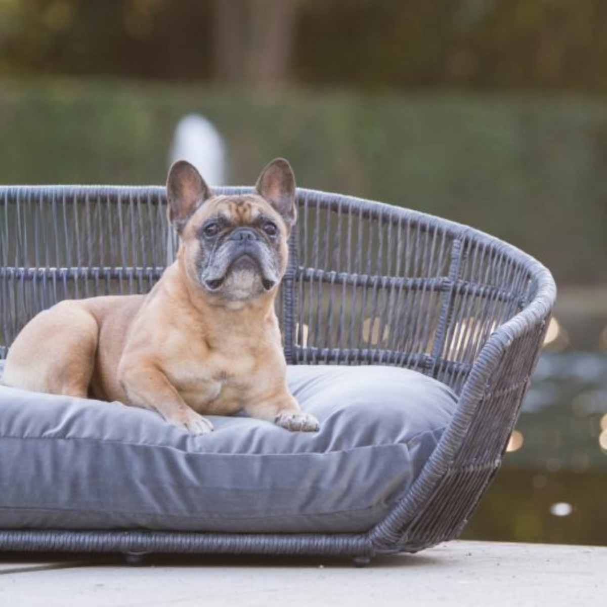 PRADO - Design-Hundebett SMOOTH