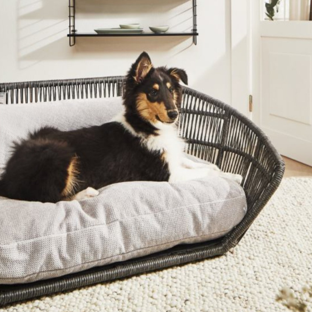 PRADO - Design-Hundebett SMOOTH
