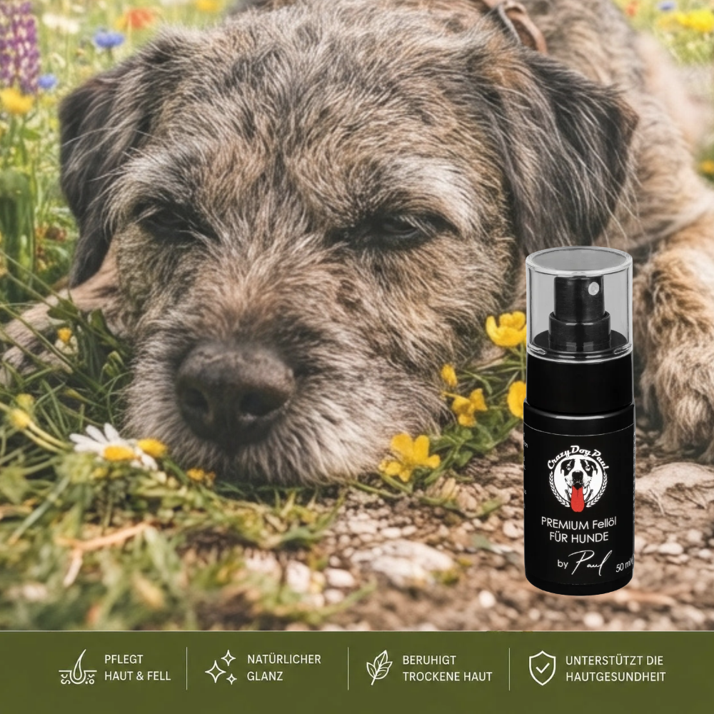 CrazyDogPaul Premium Hunde Fellpflege Spray gegen Zecken & Parasiten – Natürlicher Schutzschild – 50ml
