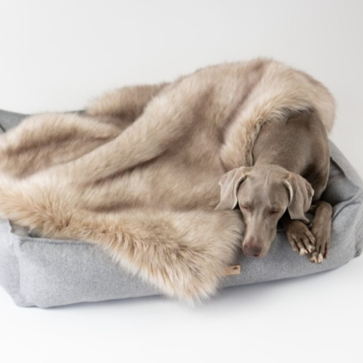 Föra Hundedecke – Cappuccino