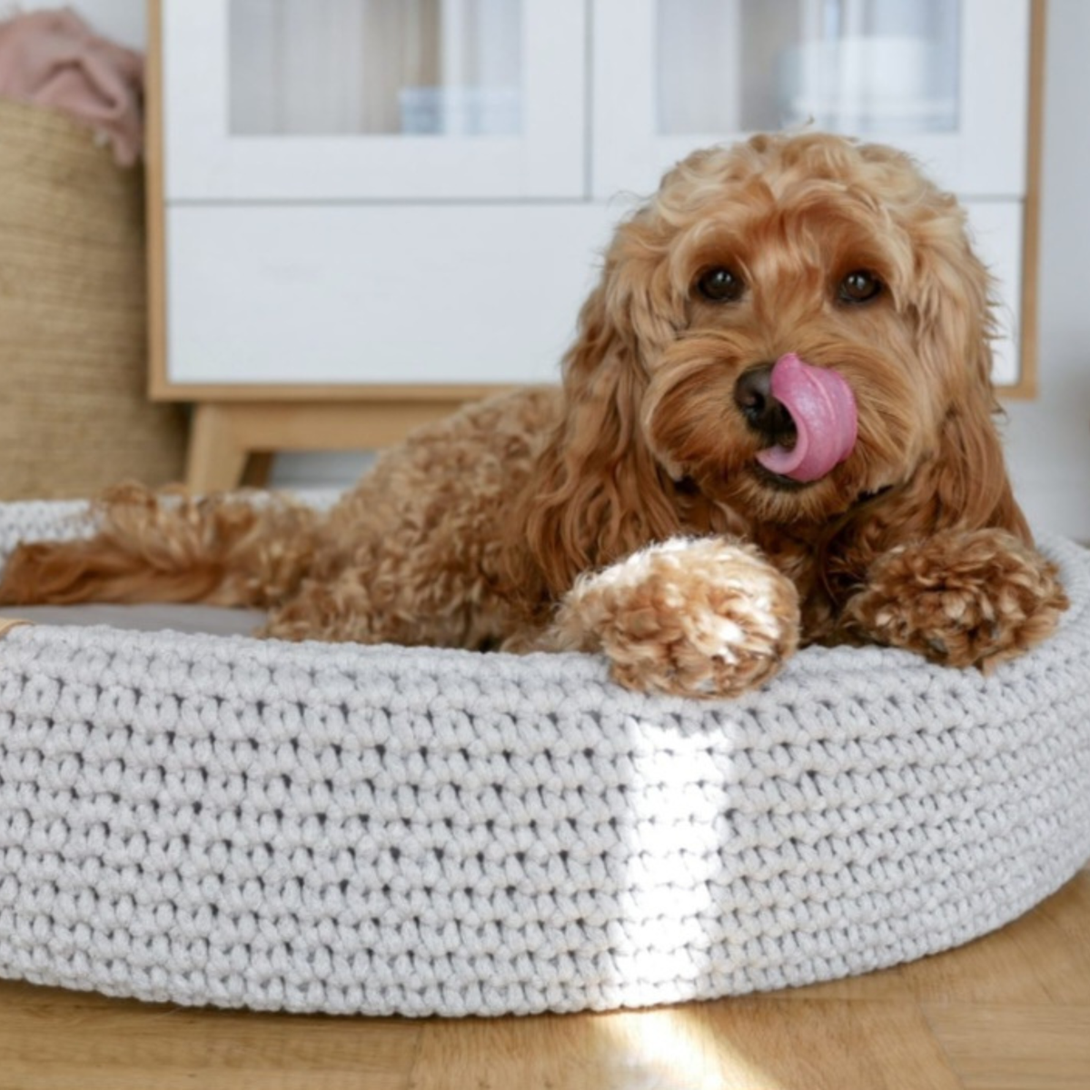 Lukko Hundebett- Grau