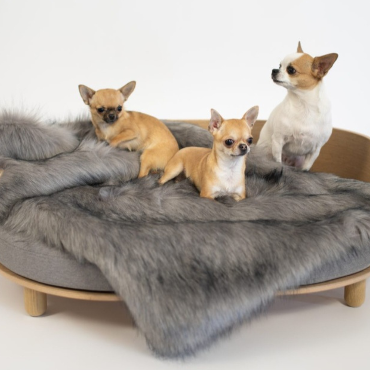 Föra Hundedecke- Silber