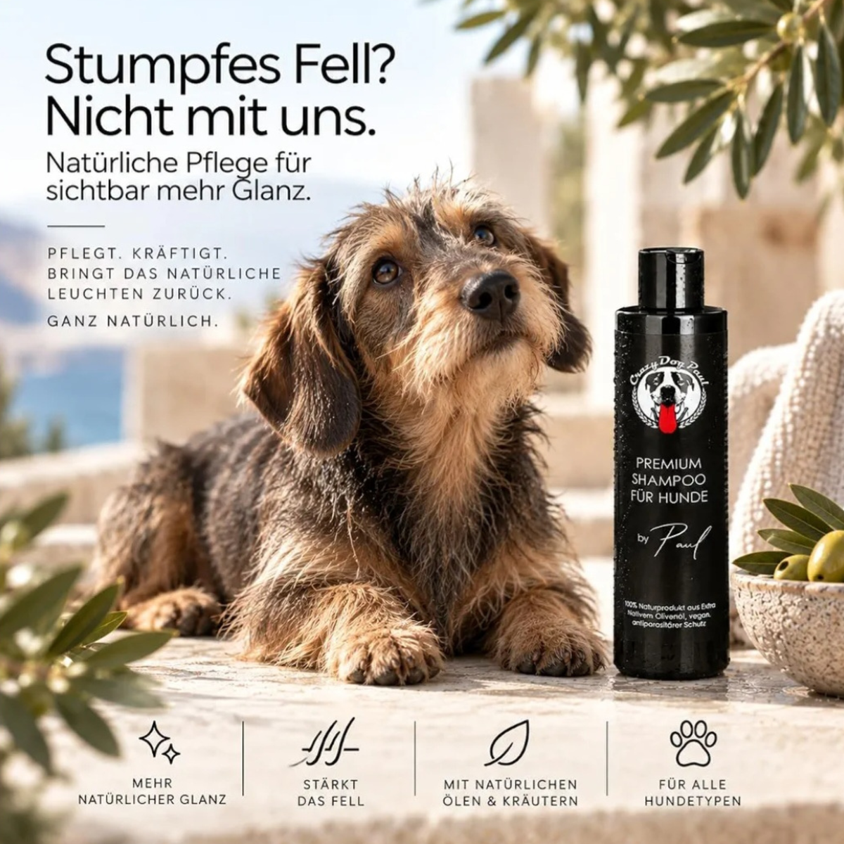 Sensitiv Hundeshampoo gegen Geruch und Juckreiz, Natürliche Fellpflege, ohne Chemie, vegan 250 ml