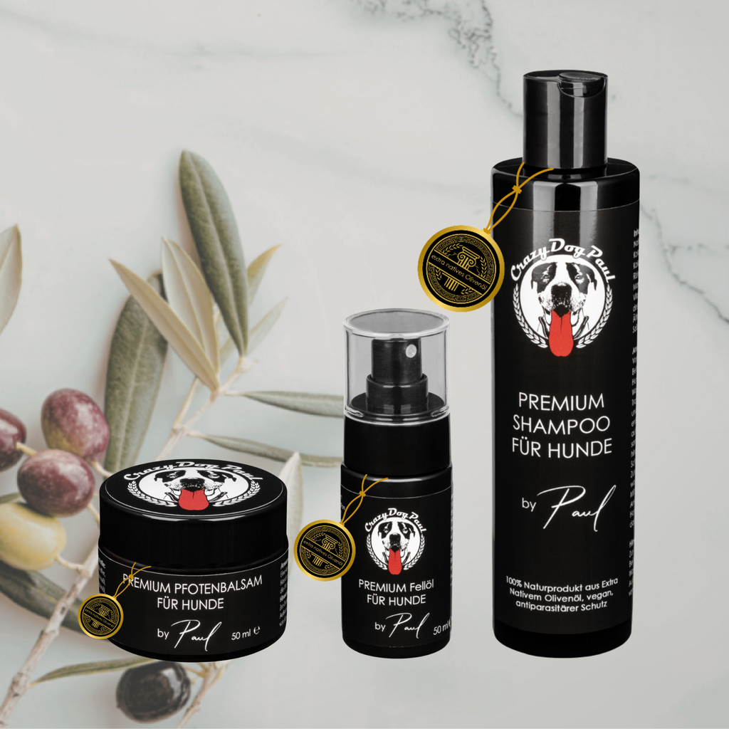Fellpflege Geschenkbox: START- im schwarzen CRAZYDOGPAUL Geschenkkarton - vielleicht zu Weihnachten?