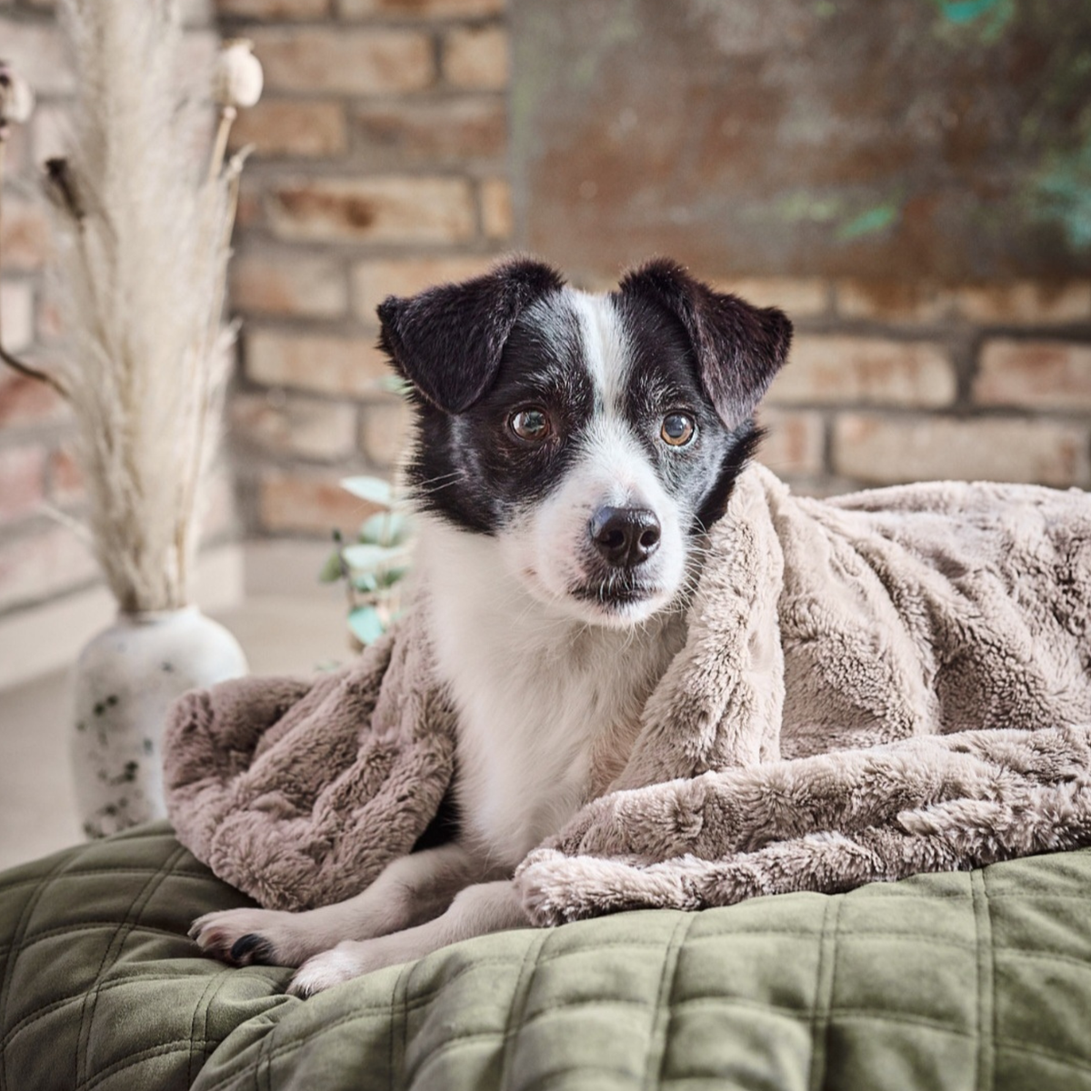 Edle Webpelz-Decke COZY