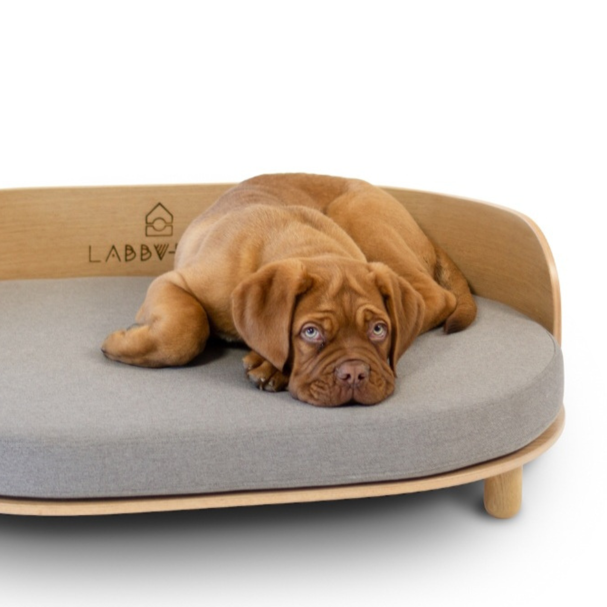 Loue Design-Hundebett
