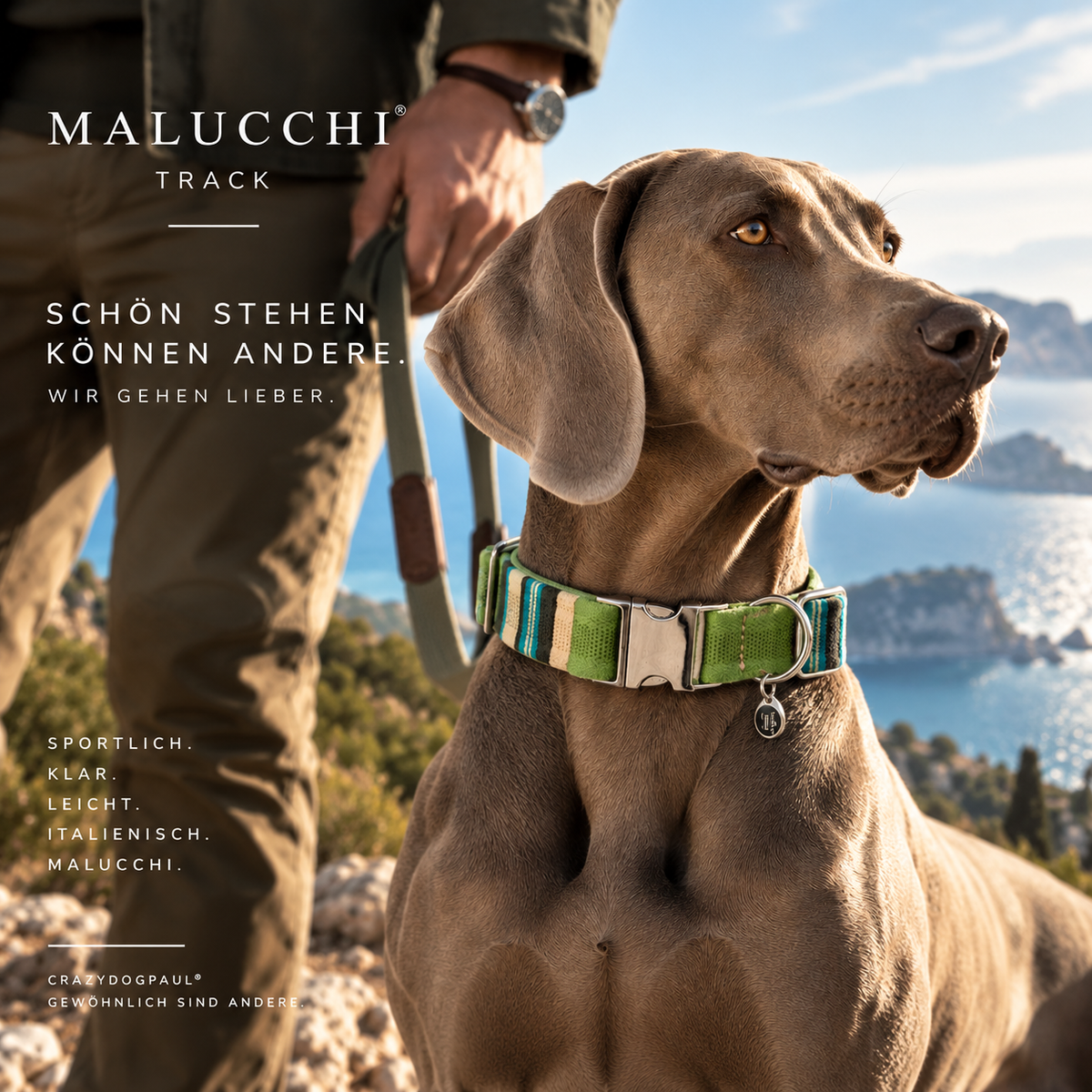 Malucchi Πολυτελές κολάρο σκύλου STRIPED GREEN - ανθεκτικό βαμβακερό κολάρο με urban εμφάνιση