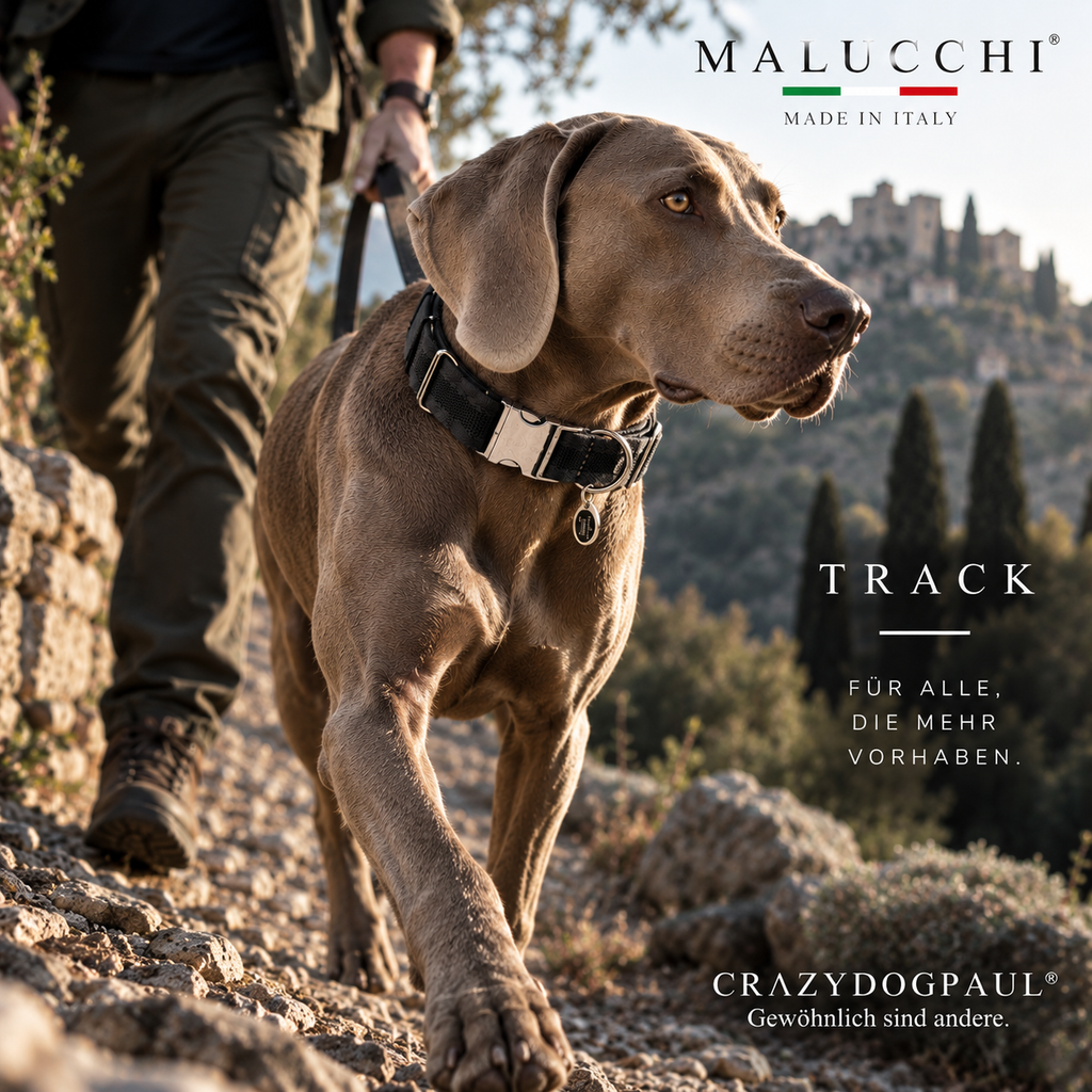Malucchi Πολυτελές κολάρο σκύλου STRIPED GREEN - ανθεκτικό βαμβακερό κολάρο με urban εμφάνιση