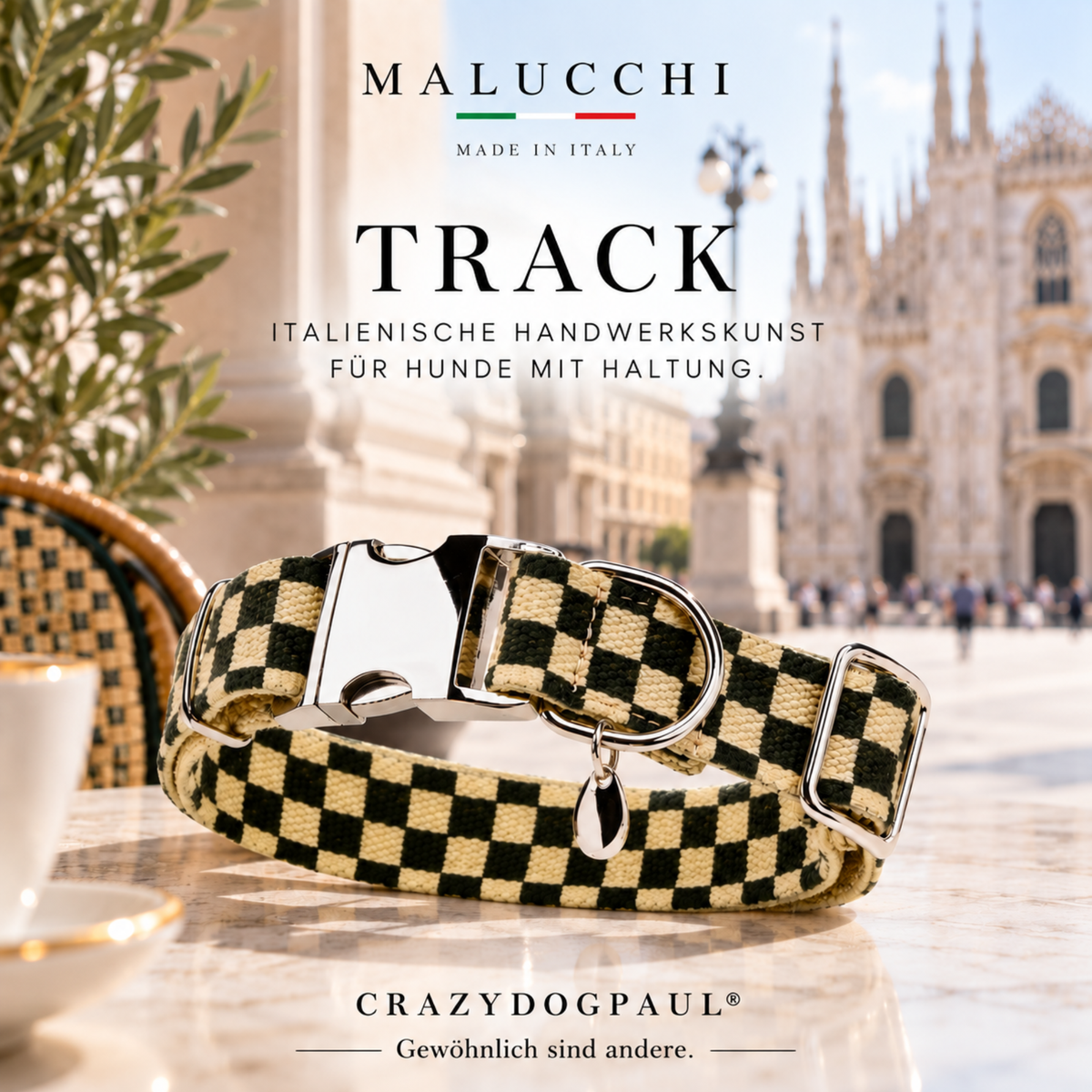 Malucchi Πολυτελές κολάρο σκύλου STRIPED GREEN - ανθεκτικό βαμβακερό κολάρο με urban εμφάνιση