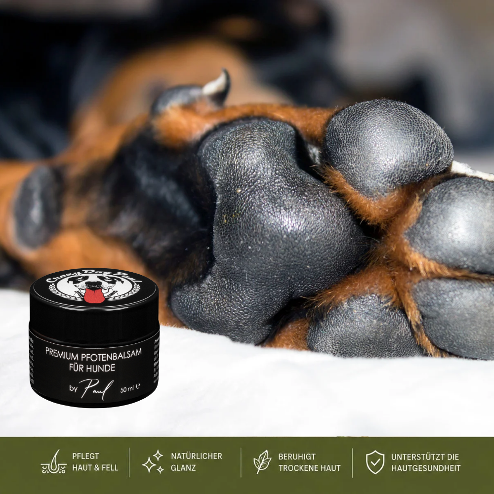 CrazyDogPaul Premium Pfotenbalsam für Hunde gegen Grasmilben & Risse – Natürlicher Pfotenschutz – 50ml