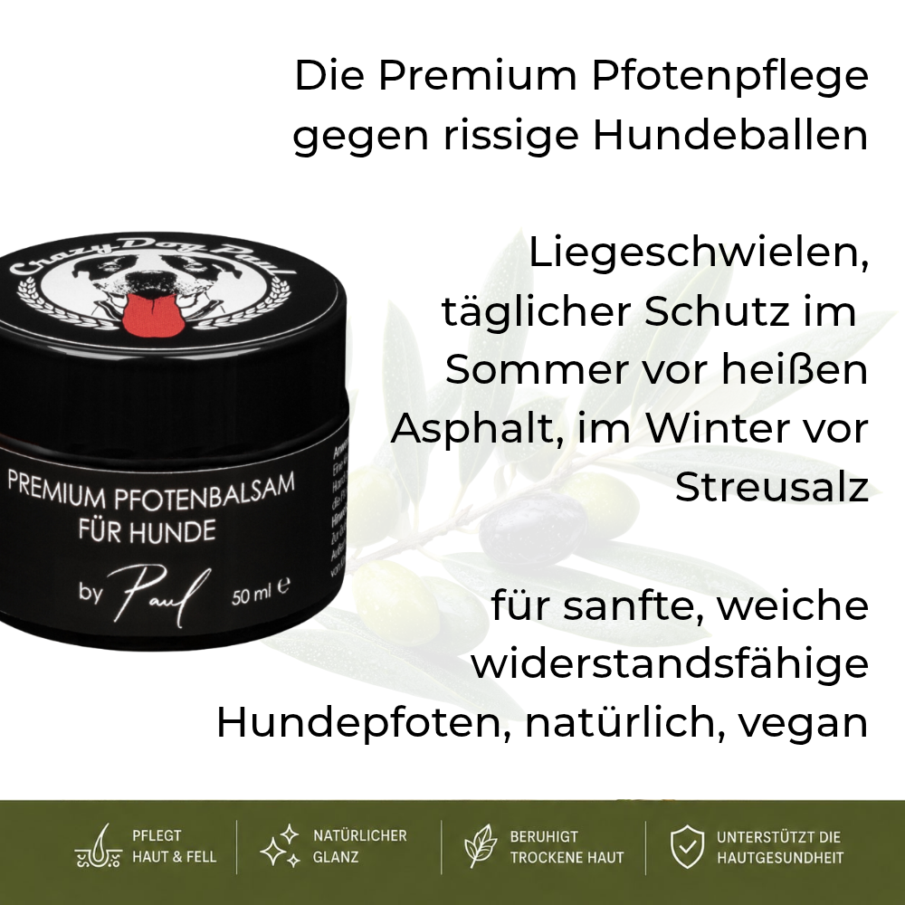 CrazyDogPaul Premium Pfotenbalsam für Hunde gegen Grasmilben & Risse – Natürlicher Pfotenschutz – 50ml