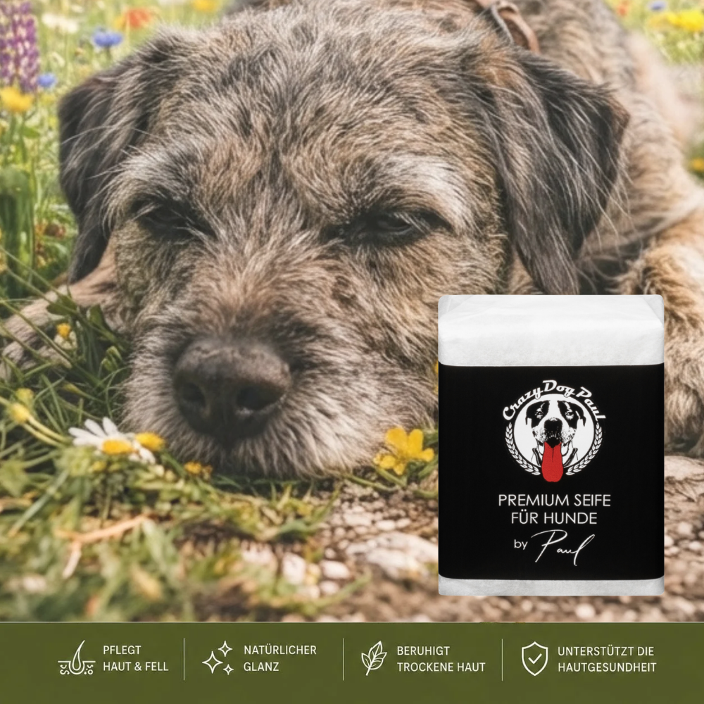 Crazydogpaul Premium Hundeseife gegen Juckreiz & Zecken – 100% Natürlich (100g)